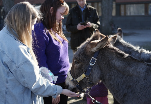 Hyvinvointiviikko